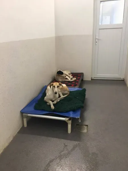 22532242 10154724588885194 896491840 o