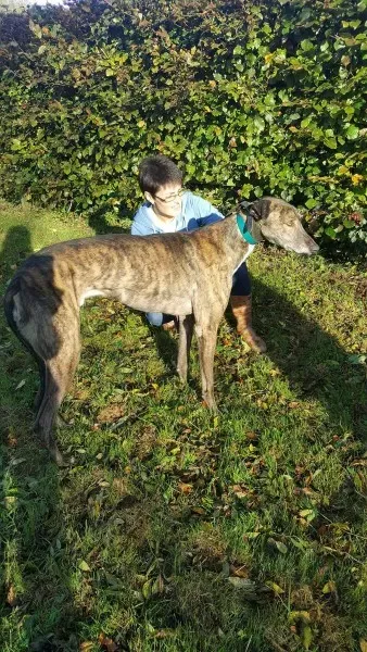 22532317 1453545704729353 880965577 o