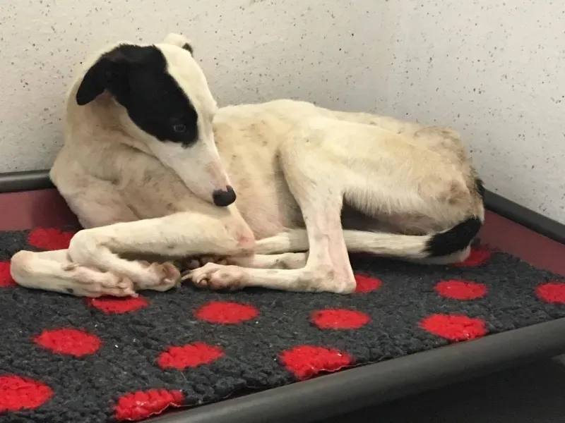 22532341 10154724587280194 1544600768 o