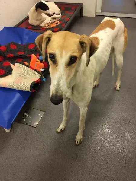 22532432 10154724537775194 770311567 o