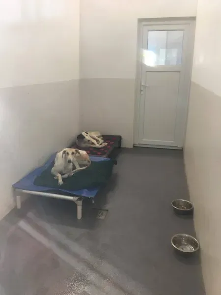 22546766 10154724588985194 1298111487 o