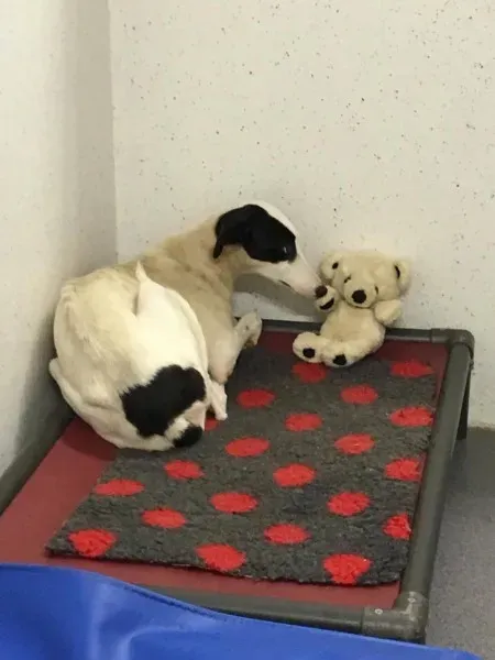 22547004 10154724537955194 1810757773 o