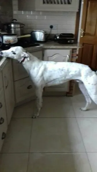 22547167 1451997764884147 2100572114 o