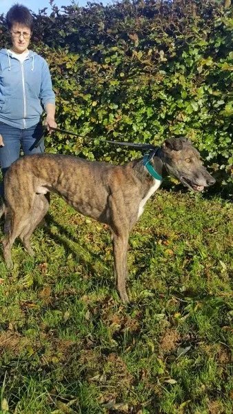 22547718 1453525028064754 191237920 n