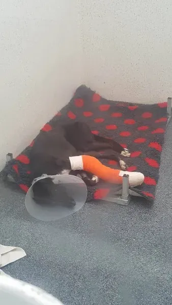 22548986 1874663285884695 4339446384828292048 o