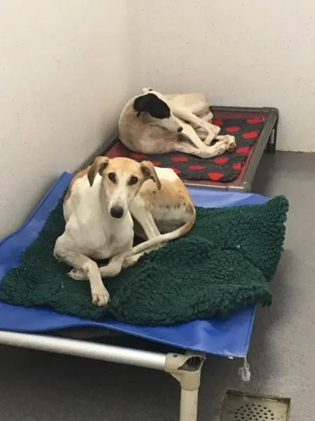 22550772 10154724588580194 1813365144 o