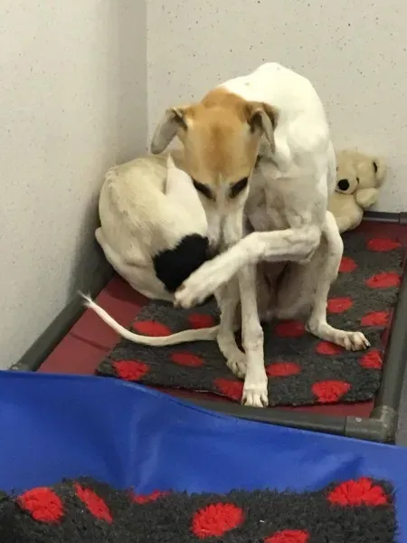 22550780 10154724538160194 681653872 o