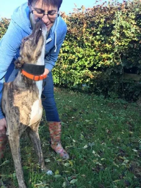 22551756 10154730493725194 1388678223 n