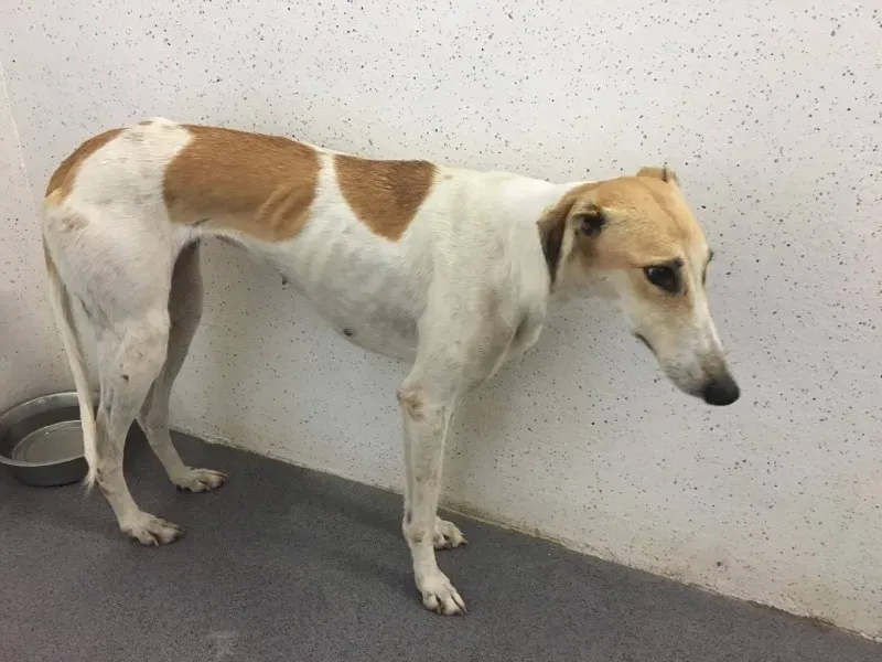 22553439 10154724590210194 1904508023 o