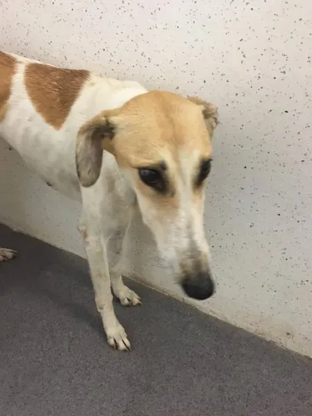 22553448 10154724590570194 1204414745 o