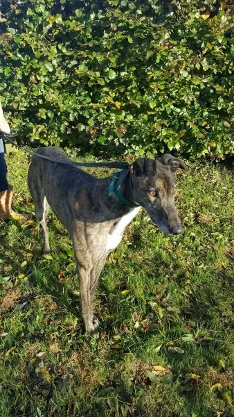 22553457 1453558491394741 2061934263 o