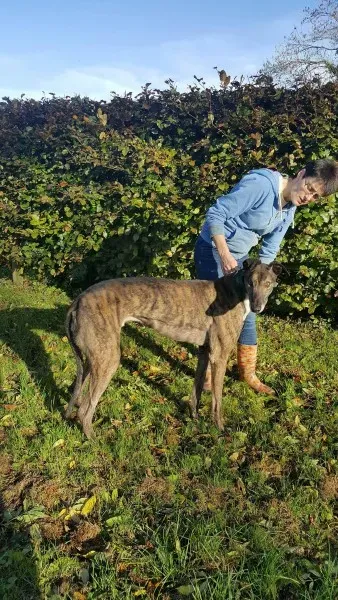 22553564 1453545781396012 184554171 o