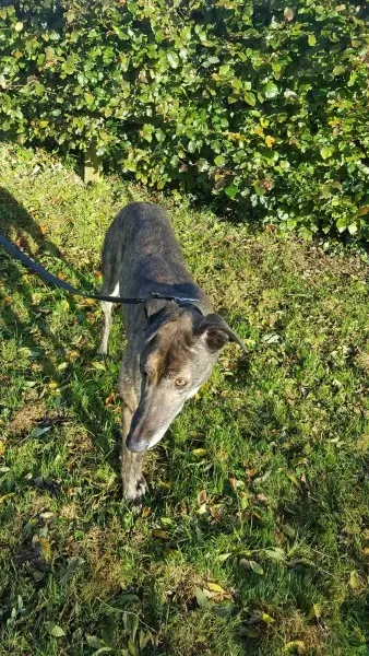 22553738 1453557971394793 596367897 o