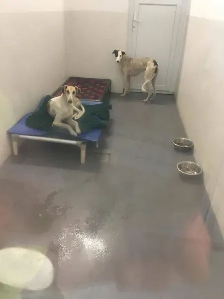 22553774 10154724589080194 569668201 o