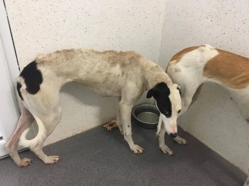 22553871 10154724536050194 1589352323 o