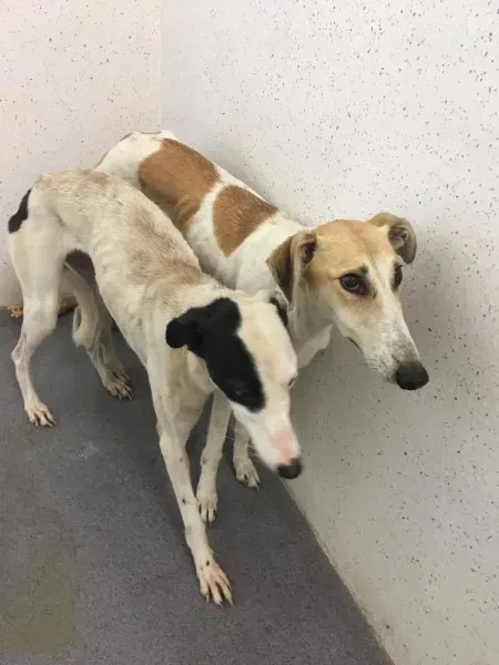 22553892 10154724589690194 2120347508 o