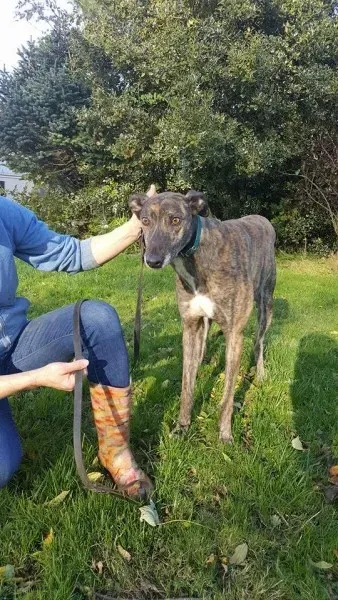 22554267 1453535441397046 365113106 n