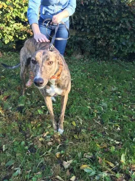 22554348 10154730482830194 930362522 n