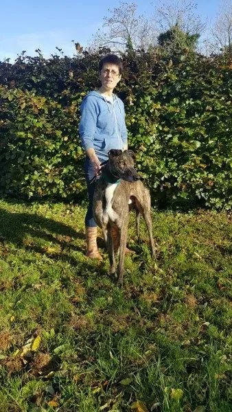 22554426 1453523494731574 661915665 n