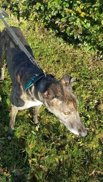 22554516 1453527404731183 833563706 n