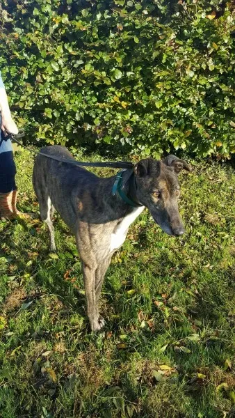 22555948 1453558521394738 635775585 o