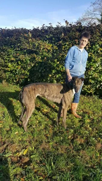 22556027 1453559251394665 606881003 o