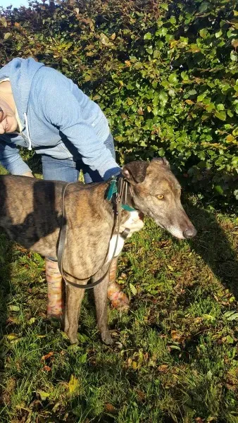 22556056 1453532834730640 1359543178 o