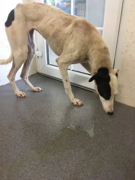 22556127 10154724590945194 1382243446 o