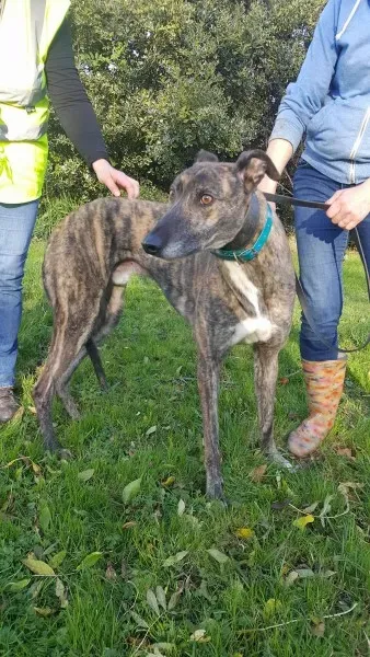 22556197 1453558761394714 709923954 o