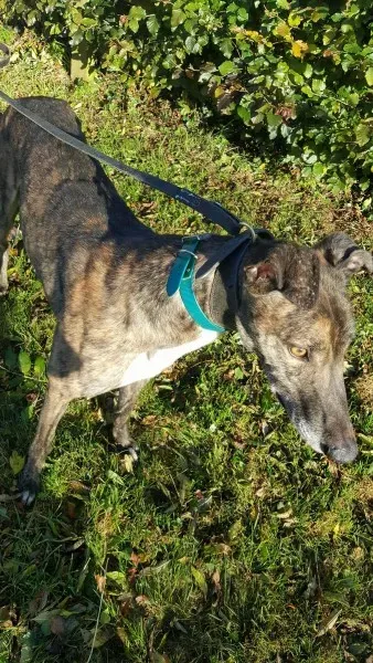 22556260 1453558991394691 1034714503 o