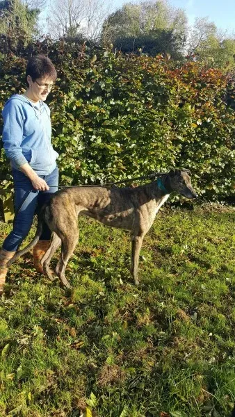 22556261 1453559431394647 998785980 o