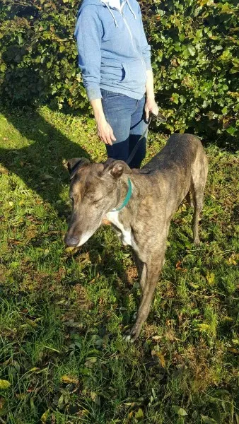 22556278 1453558884728035 1635781064 o