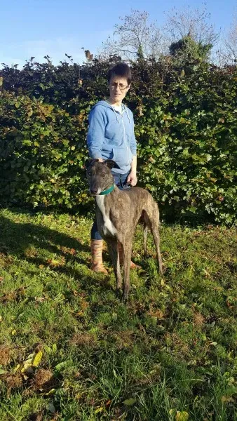 22561006 1453559258061331 1376564140 o