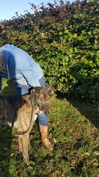 22561045 1453557821394808 371123437 o