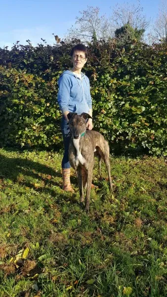 22561049 1453559354727988 1285627145 o