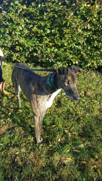 22561321 1453558501394740 902047596 o