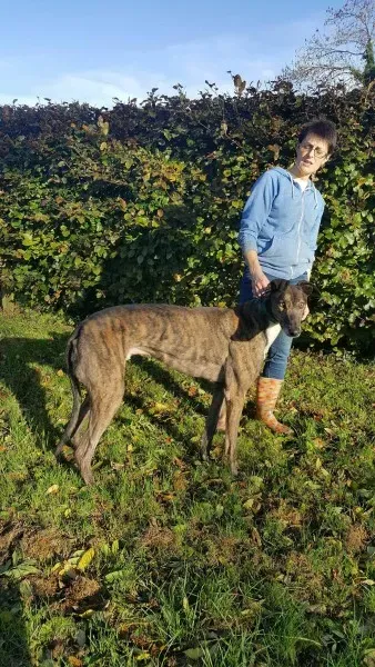 22561347 1453559121394678 1230091065 o