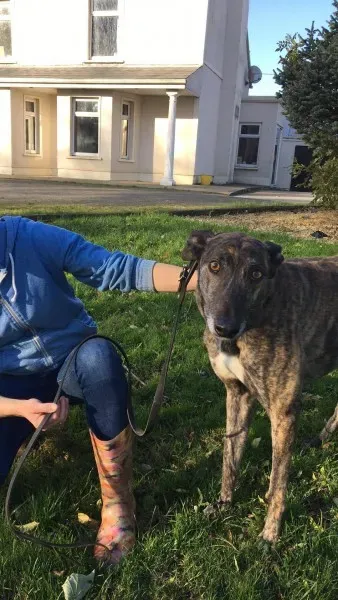 22561349 10154728554040194 1172225804 o