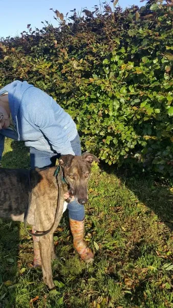 22561385 1453557841394806 1356503614 o