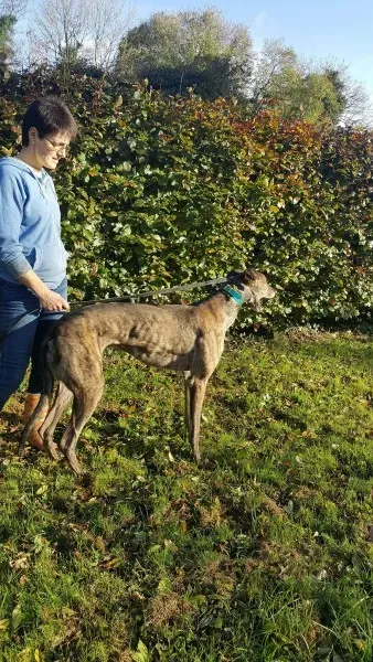 22563527 1453557394728184 1633398161 o