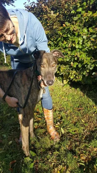 22563566 1453557951394795 1258410317 o