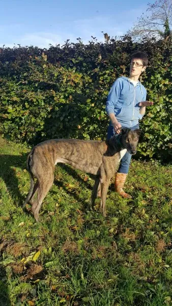 22563748 1453559064728017 1306707188 o