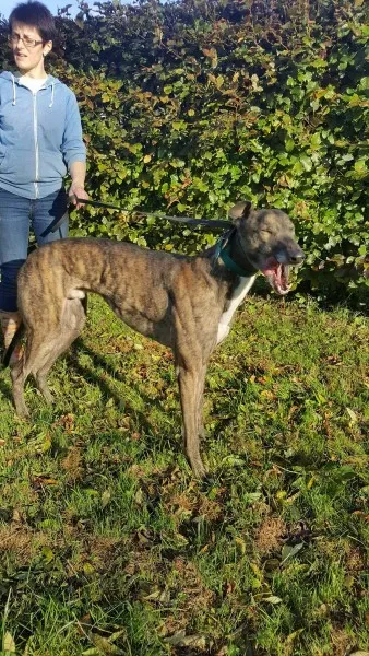 22563782 1453557424728181 1661621701 o