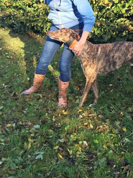 22563790 10154730432685194 1920992359 o