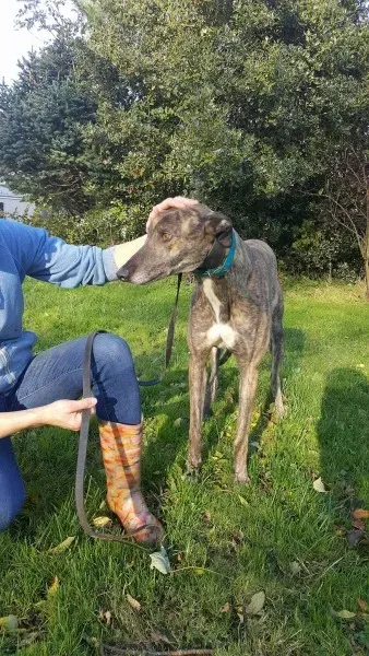 22563792 1453557301394860 264417705 o