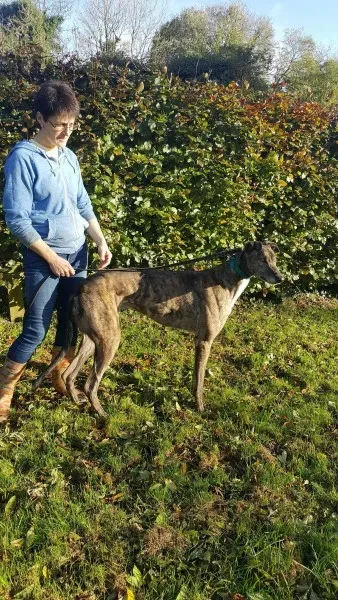 22563805 1453559424727981 1472066814 o