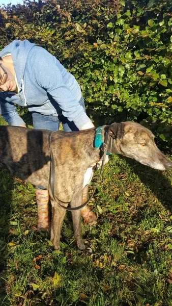 22563816 1453557804728143 1346840087 o