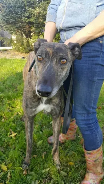 22563829 1453558658061391 549224717 o