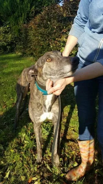 22563840 1453545804729343 1213289707 o