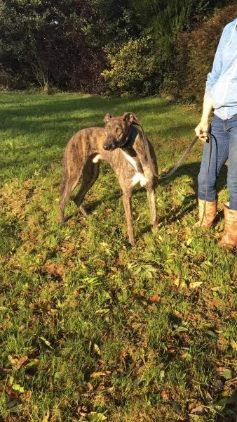 22563877 10154728694945194 1623444337 o